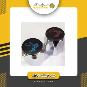 پوسته برنجی