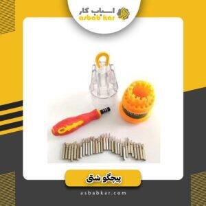 پیچگوشتی نمکدانی