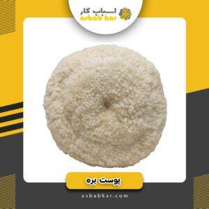 2db1a061c18037eae0267782ae43eb95 1734623787 1 300x300 optimized