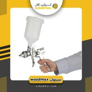 پیستوله رنگ وودمکس