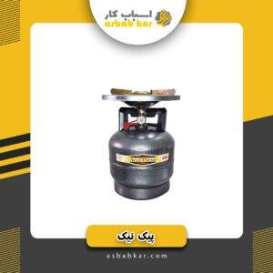 پیک نیک بزرگ(5کیلو)