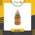 پیچگوشتی نمکدانی