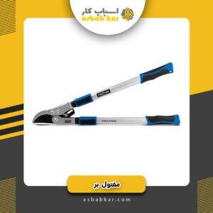 7bd71af9887c9ef2c36db35e8782850b 1734684665 1 300x300 optimized