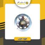 سرپیکنیک بزرگ