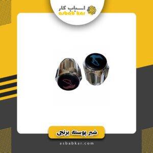 پوسته برنجی