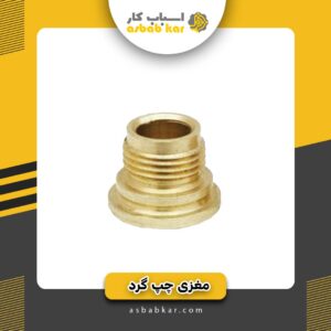 مغزی چپگرد
