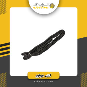 کش موتورمعمولی 2